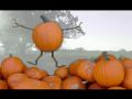 The Merchant's Pumpkin Video - Click Here to View