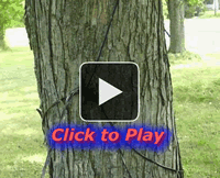 Click here to watch this amusing video from Roger Bindl of HEM Productions